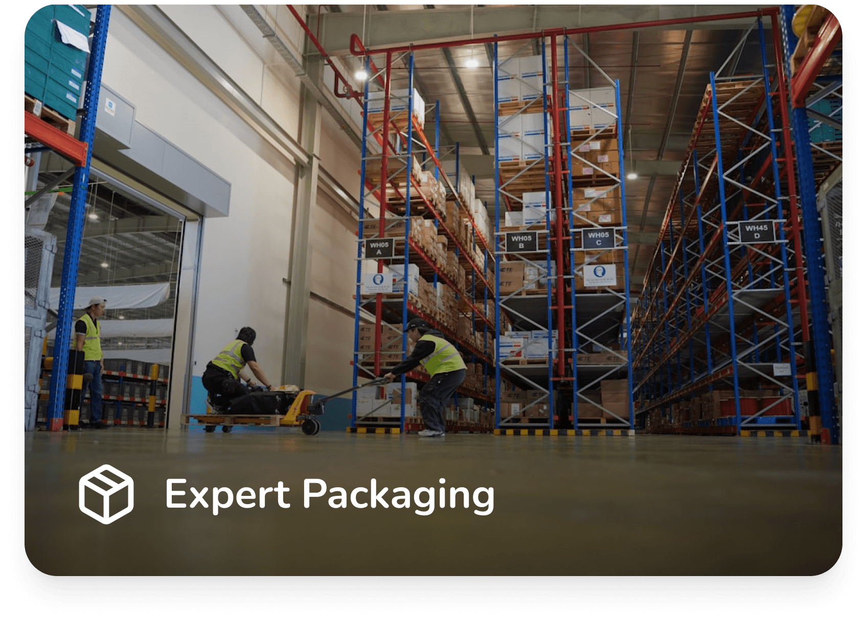 Expert Packaging